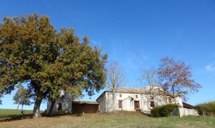  Property for Sale - Country house - miradoux  